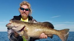 Gag grouper fish caught by angler at Weeki Wachee