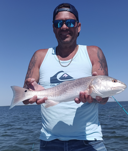 Hooked a big one on this sunny day by the sea.