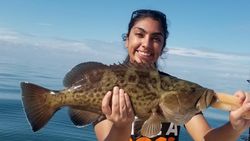 Photograph of a Gag Grouper measuring 23 inches, caught while fishing in FL.