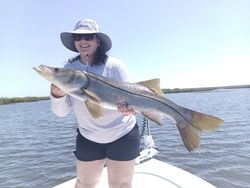 A lone snook, a 35-inch fish, caught while fishing in FL