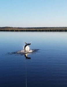 Scenic landscape of Weeki Wachee, Florida