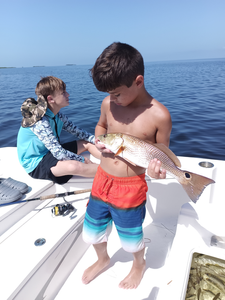 Redfish on the prowl at Bayport Park under clear skies!