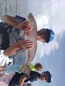 Redfish on the line at Bayport Park: jigging and trolling for the win!