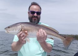 Redfish catch in FL