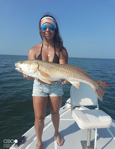 Redfish caught in FL