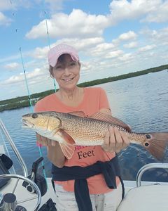 Redfish caught in FL