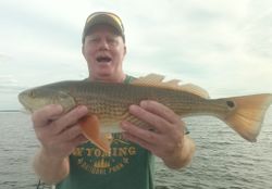 Redfish, 29-inch fish caught while fishing in FL