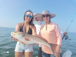Redfish caught while fishing in FL