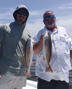 Two redfish, 16-inch fishing in Weeki Wachee