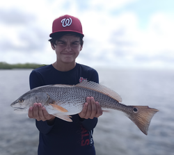 Redfish on the line in Weeki Wachee's partly cloudy waters!