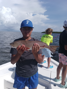 Redfish on the line in Weeki Wachee's clear waters!