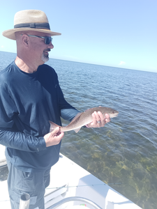 Hooked a feisty redfish at the local boat ramp!