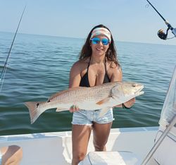 Redfish caught in Weeki Wachee