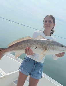 Redfish caught in Weeki Wachee