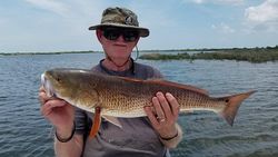 Redfish, 29 inches, caught at Weeki Wachee