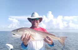 Angler with a redfish caught in Weeki Wachee