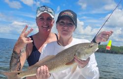 Redfish caught while fishing in Weeki Wachee