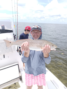 Tight lines and red scales: Redfish action in Weeki Wachee!