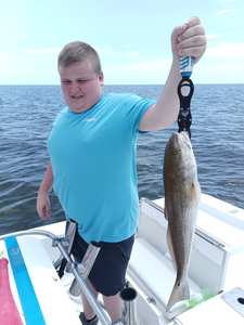 Huge 27-inch redfish reeled in before the storm clouds rolled in!