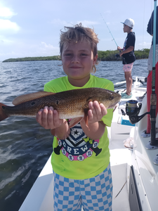 Reeling in redfish gold under clear skies in Weeki Wachee!