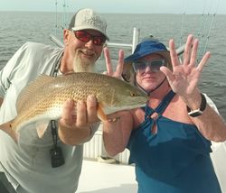 Redfish caught in Weeki Wachee, Florida