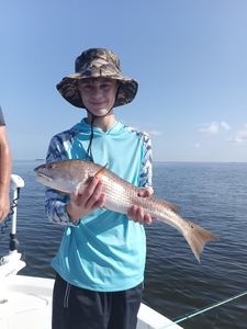 Redfish on the line in Weeki Wachee - jigging and trolling for the win!