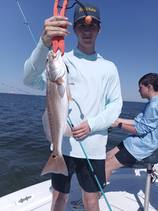 Reeled in a nice catch!