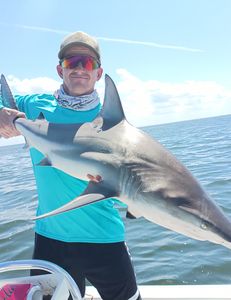 Sandbar shark fishing in FL