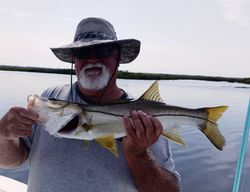 Snook fish caught while fishing in Florida