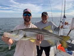 Snook fish caught in FL