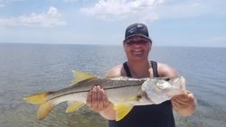 Snook fish caught in Weeki Wachee, Florida.