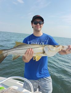Snook fish caught while fishing in Weeki Wachee