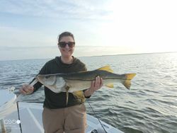Snook fish caught while fishing in FL