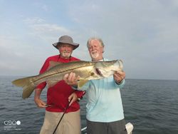 Snook fishing in FL