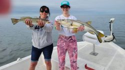 Two large snook caught while fishing in Florida