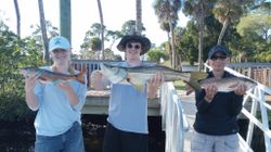 3 snook and redfish caught fishing in FL