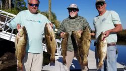 A fishing trip with 5 big fish at Weeki Wachee