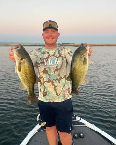 Two large bass caught fishing in Fort Worth TX waters