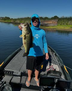 Large bass catch displayed on fishing boat in Fort Worth TX waters