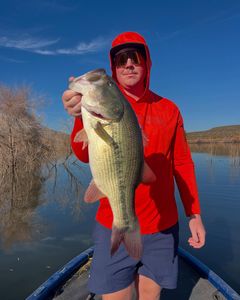 Bass fishing catch held up on lake in Fort Worth TX