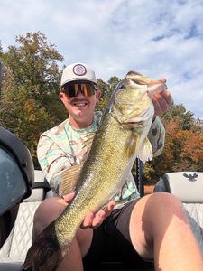 Large bass catch displayed on boat in Fort Worth TX during fishing trip