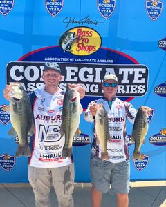 Guadalupe bass and spotted bass caught during fishing tournament in Fort Worth TX