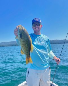 Smallmouth bass caught while fishing in Fort Worth TX