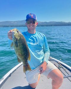 Smallmouth bass caught while fishing on lake in Fort Worth TX