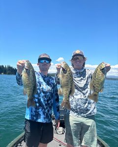Three smallmouth bass caught fishing in Fort Worth TX displayed on boat
