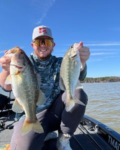 Angler holding two spotted bass caught while fishing in Fort Worth TX
