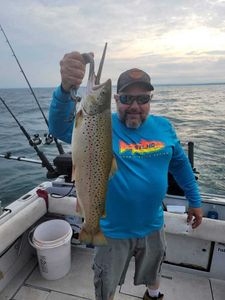 A rainbow trout, 23 inches long, caught in Pulaski