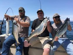 Four bluefish, caught while fishing in NY