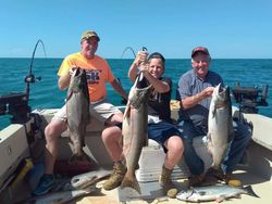 Four coho salmon and sea trout caught by three people in Pulaski