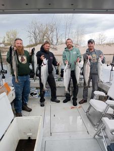 7 coho salmon, pink salmon, and chinook salmon caught by a fishing group in NY